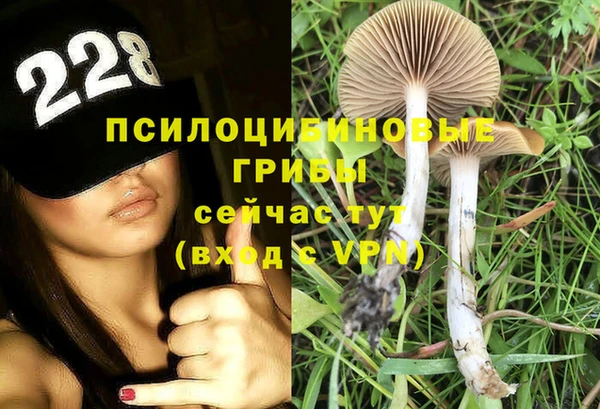 мяу мяу мука Зеленодольск