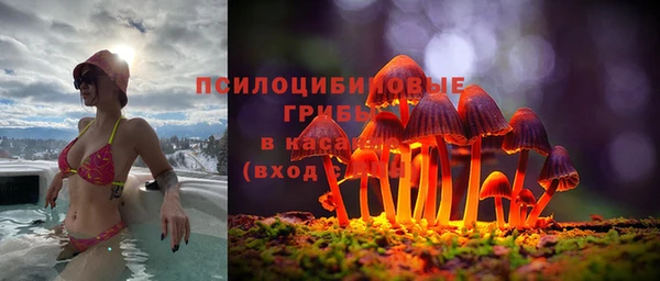 мяу мяу мука Зеленодольск